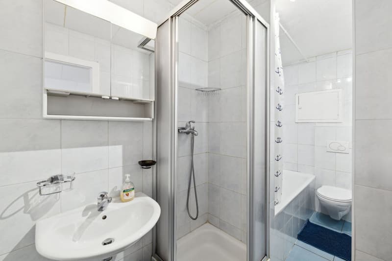 4.5-room apartment in Sion with rental potential (6)