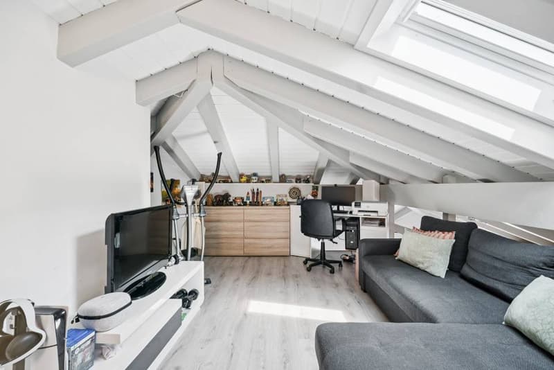 Charming 4.5 room apartment with mezzanine and private garden (5)