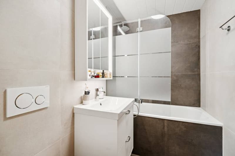 Charmant 4.5 pièces rénové avec mezzanine et jardin privatif (7)