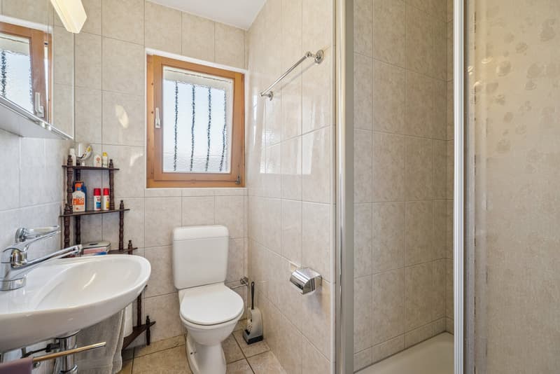 A privileged address in Salins - Charming chalet offering a panoramic view (8)