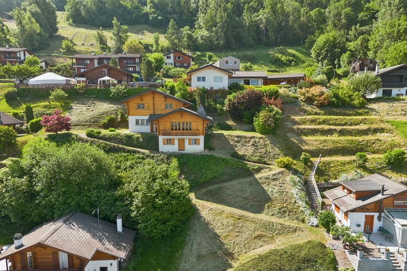 Une adresse privilégiée à Salins - Chalet de charme offrant une vue pa (1)