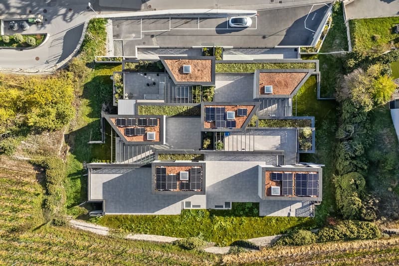 Les Terrasses de Gravelone - Duplex de standing au coeur des vignobles (9)