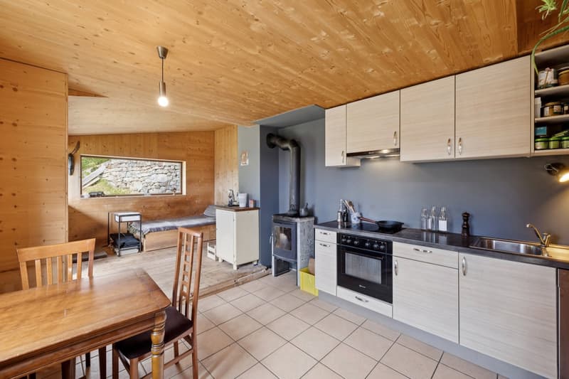 Chalet individuel 3,5 pièces en pleine nature Valaisanne (10)