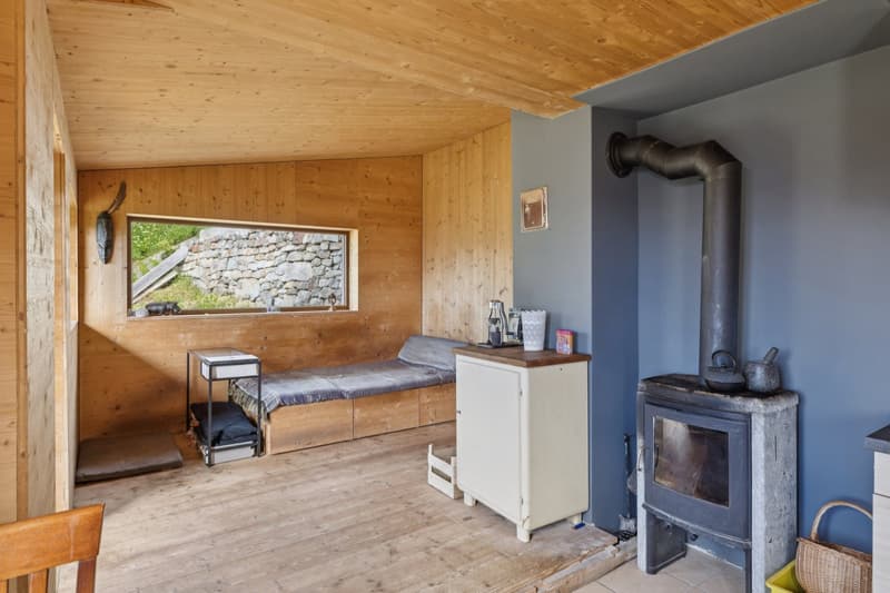 Chalet individuel 3,5 pièces en pleine nature Valaisanne (12)