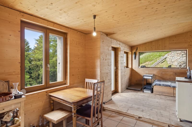 Chalet individuel 3,5 pièces en pleine nature Valaisanne (4)
