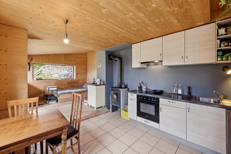 Chalet individuel 3,5 pièces en pleine nature Valaisanne (10)
