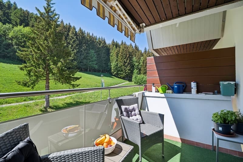 Two and a half room apartment with two bathrooms and through access (6)