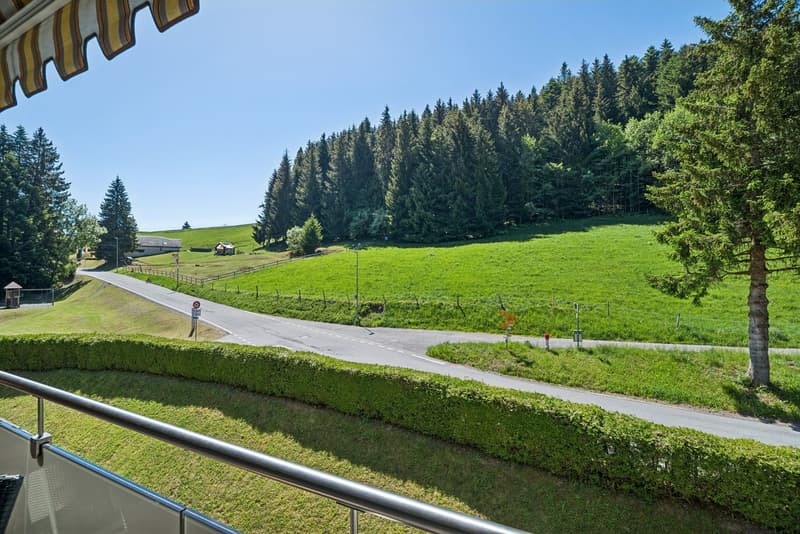 Two and a half room apartment with two bathrooms and through access (7)