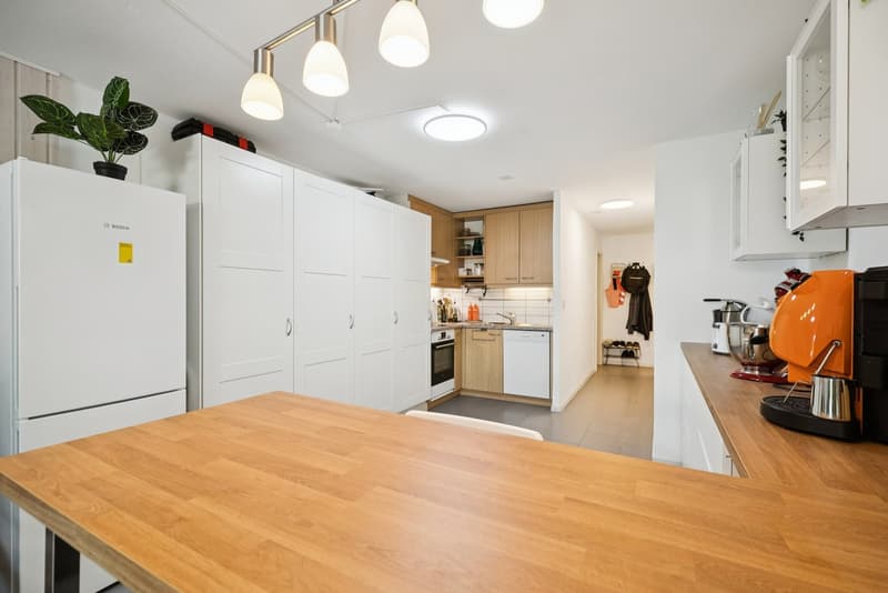 Two and a half room apartment with two bathrooms and through access (4)