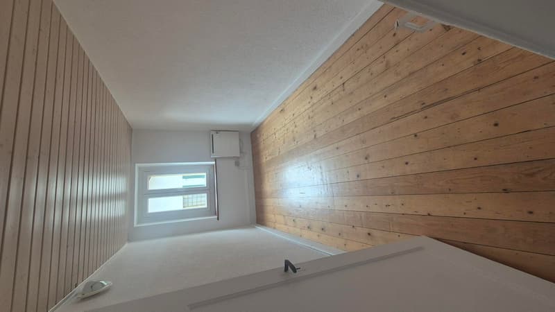 Casa di villaggio con due appartamenti (3)