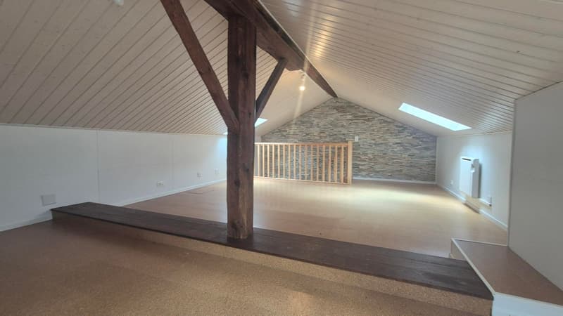Casa di villaggio con due appartamenti (4)