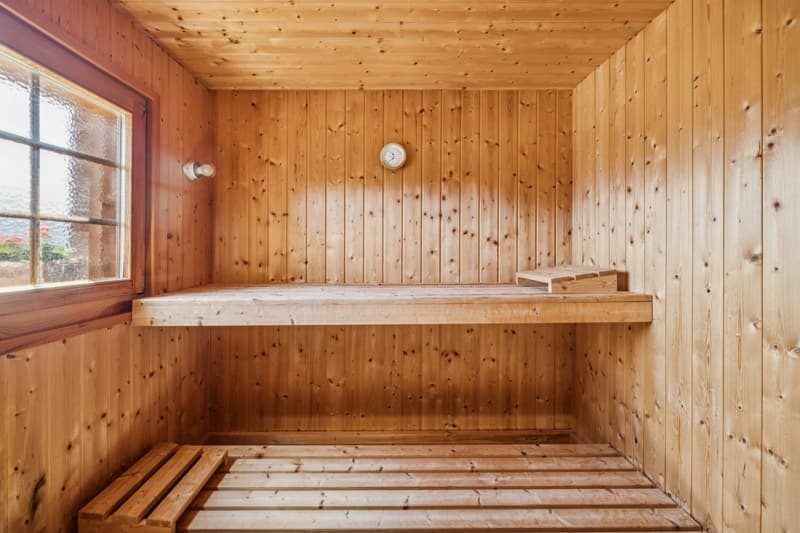 Charming chalet with wellness area and spectacular views (11)