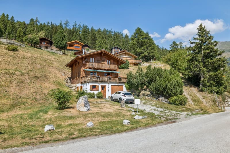 Charming chalet with wellness area and spectacular views (12)