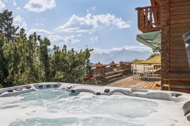 Chalet de charme avec espace bien-être et vue spectaculaire (2)