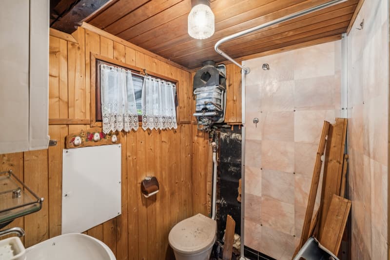 Chalet aux Mayens de Chamoson - Vue & Potentiel (7)