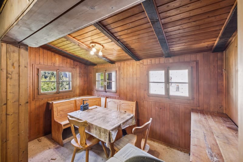 Chalet aux Mayens de Chamoson - Vue & Potentiel (8)