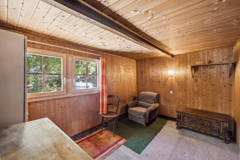 Chalet aux Mayens de Chamoson - Vue & Potentiel (5)