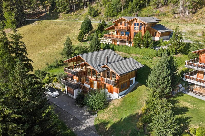 Résidence secondaire - Un bien d'exception aux portes des 4 vallées. (3)