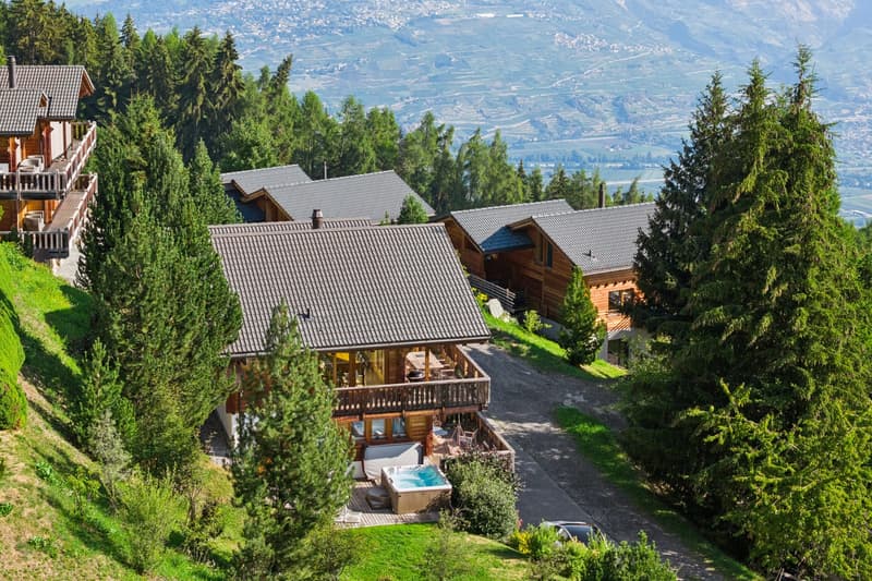 Résidence secondaire - Un bien d'exception aux portes des 4 vallées. (2)