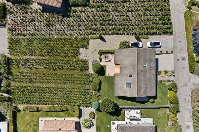 Élégance et volumes au coeur des vignes de Conthey (12)