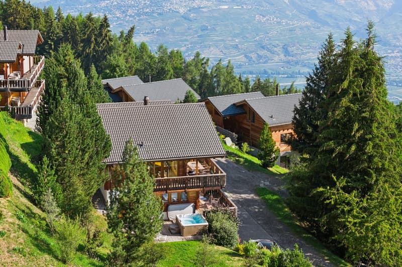 Résidence secondaire - Un bien d'exception aux portes des 4 vallées. (2)