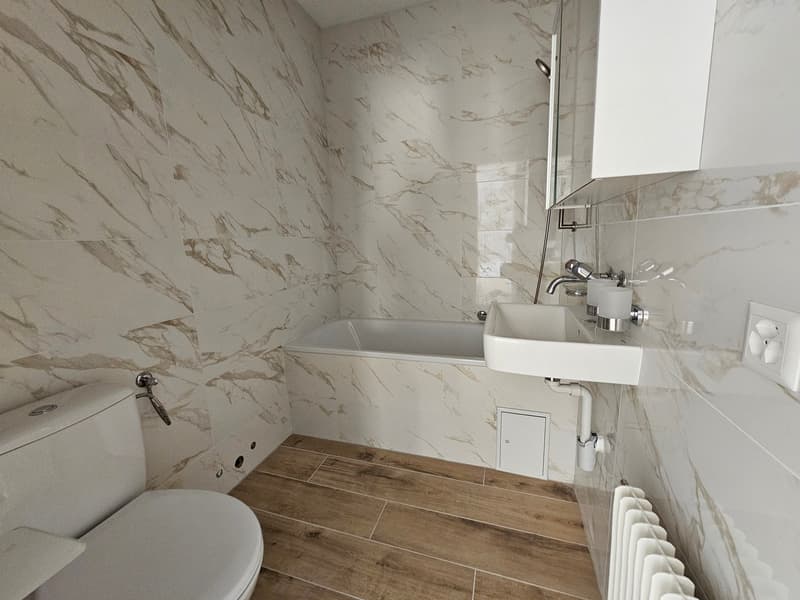 Appartement 2,5 pièces en PPE proche du Lac (2)
