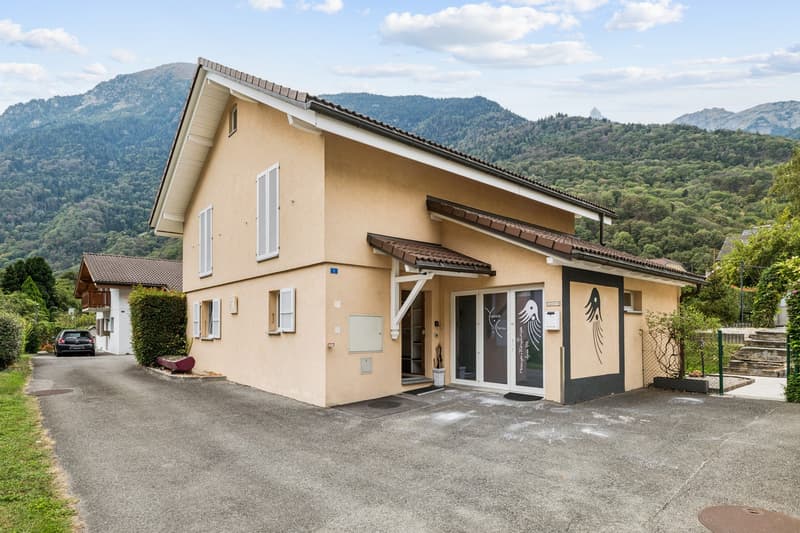 Belle villa individuelle de 5,5 pièces offrant de beaux volumes (1)