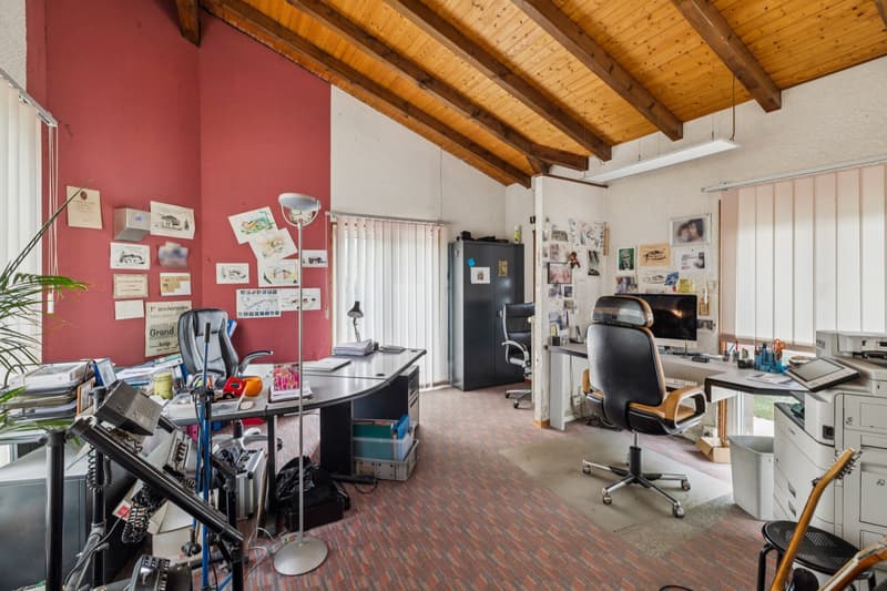 Maison familiale au coeur d'un généreux écrin de verdure (11)