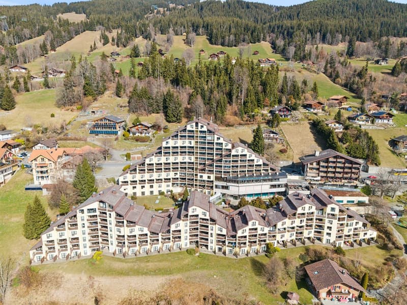 Charmant appartement de 3,5 pièces avec cuisine et salle de bains, lum (4)