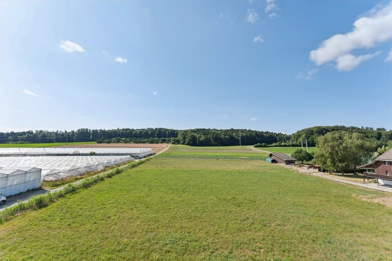Zeitgemässes Loft mit freiem Blick auf die umliegenden Landwirtschafts (9)
