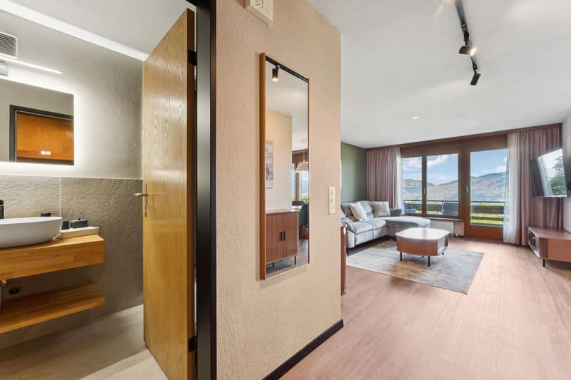 Aeschi Park Business Apartments - Spiez - Einheit 307 (9)