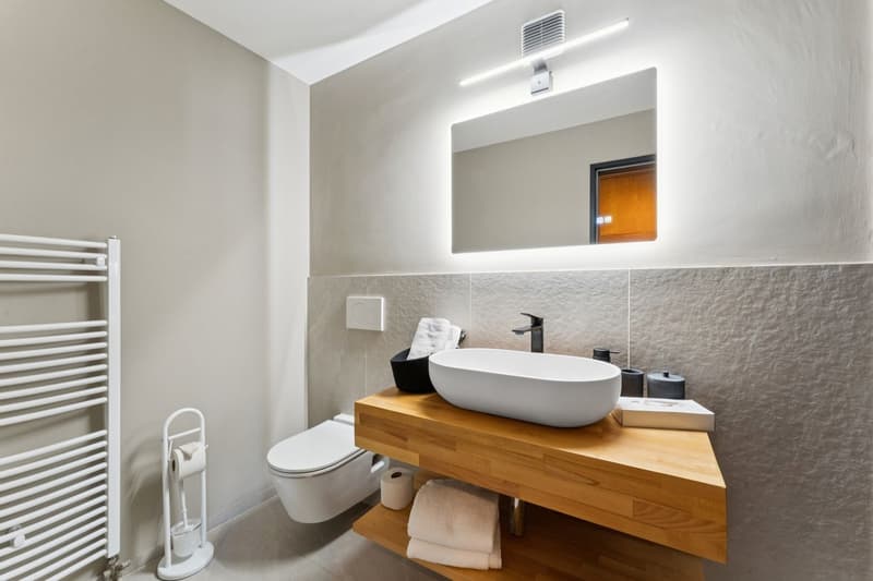 Aeschi Park Business Apartments - Spiez - Einheit 307 (11)