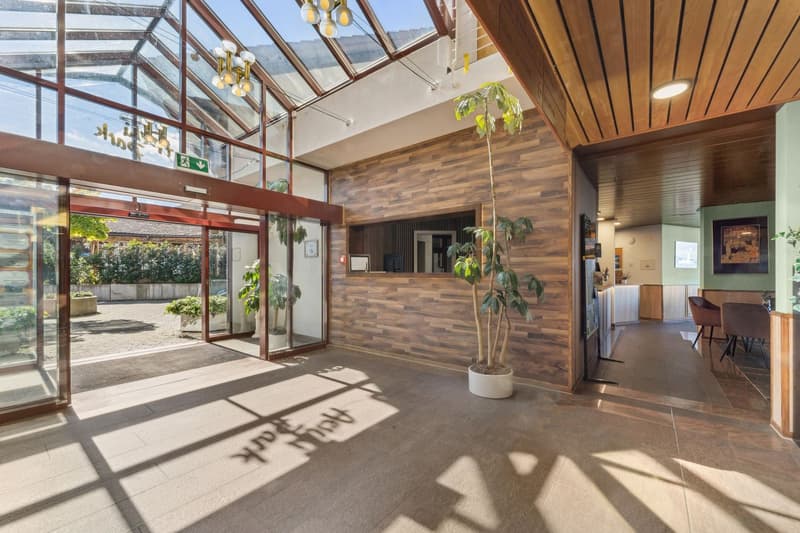 Aeschi Park Business Apartments - Spiez - Einheit 307 (6)