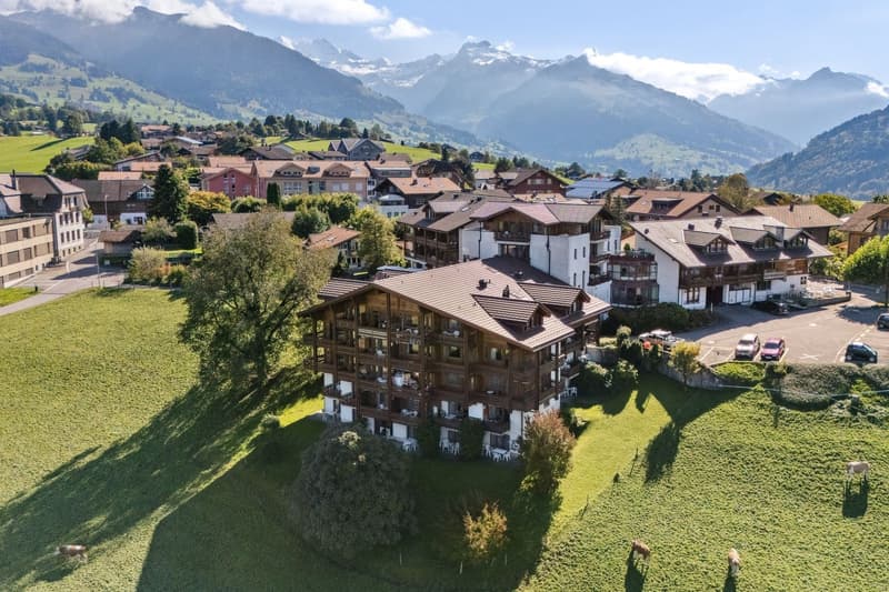 Aeschi Park Business Apartments - Spiez - Einheit 511 (1)