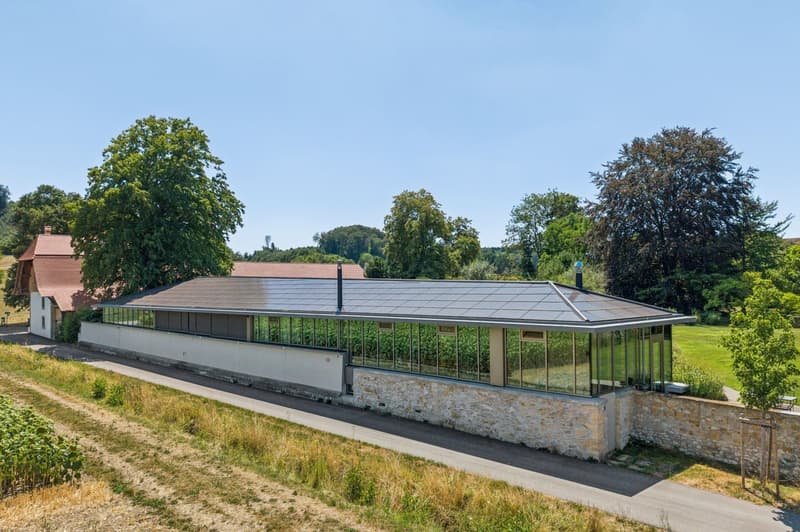 Leben im Schlosspark (2)