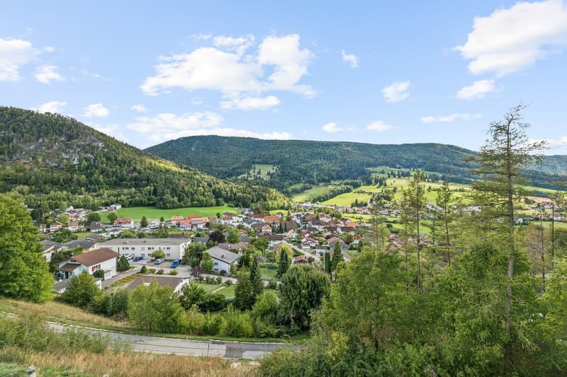 Bellevue Sonceboz - Lot W3 (8)