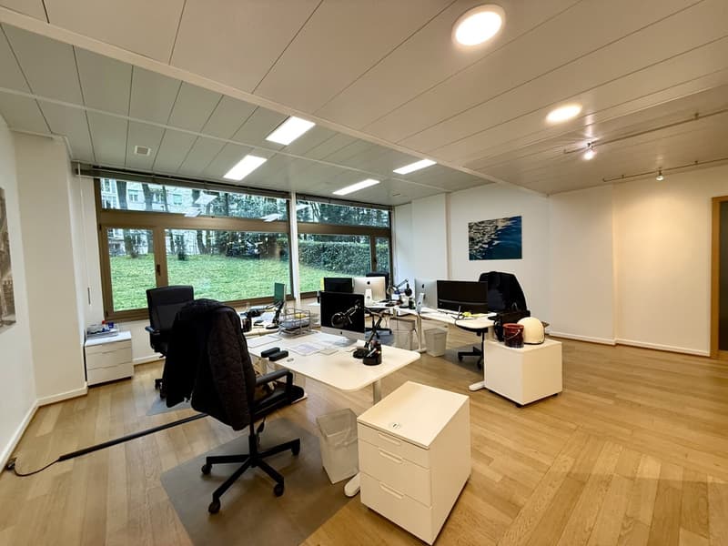 Arcade of 229 m² with parking near Champel (2)