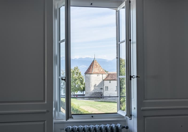 Character apartment in the heart of Rolle (1)