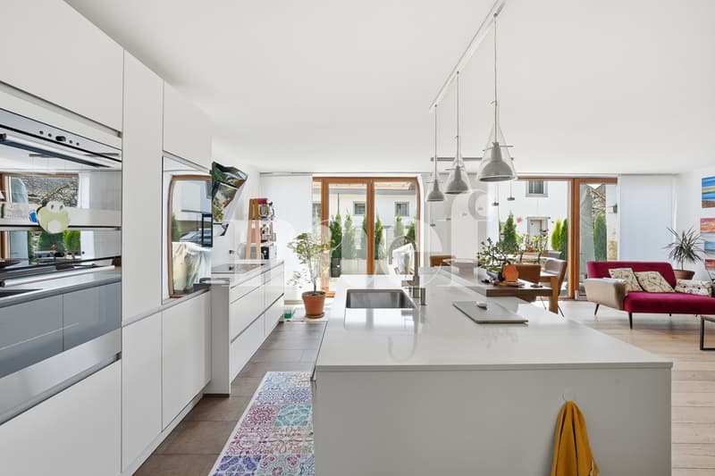 En exclusivité : Grand 3.5 pièces avec terrasse (4)