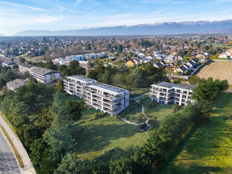Vue drône