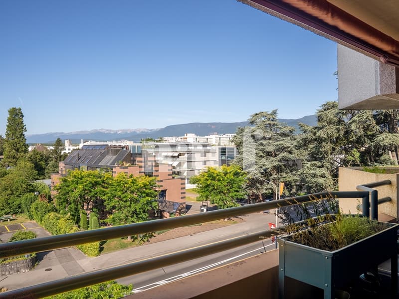 EXCLUSIVE: 4.5-room apartment in the center of Nyon (1)