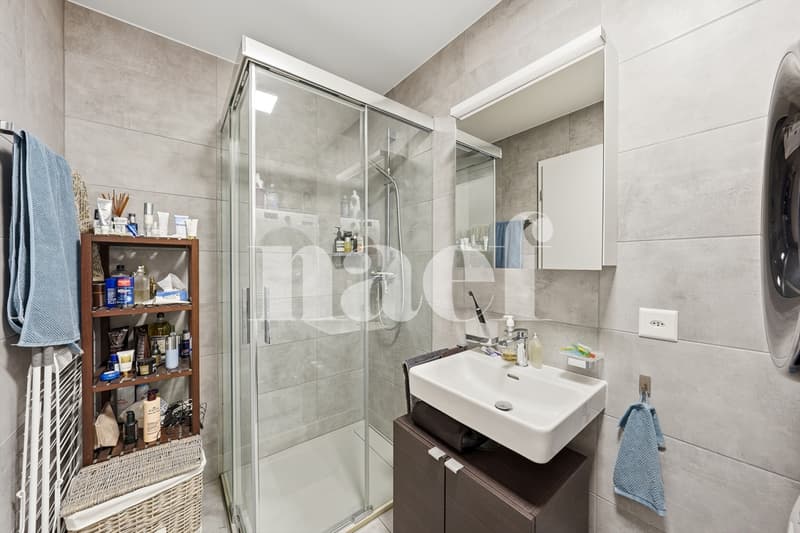 Appartement lumineux à proximité de toutes les commodités (8)