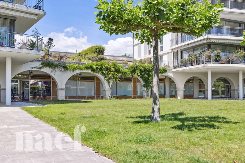 Pour investissement: Arcades commerciales à Coppet (1)