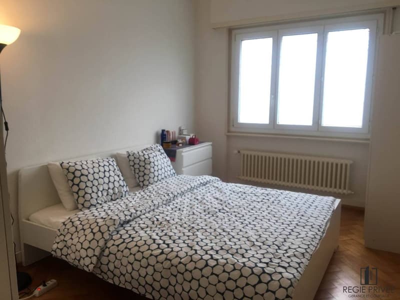 Appartamento di due locali con balcone (3)