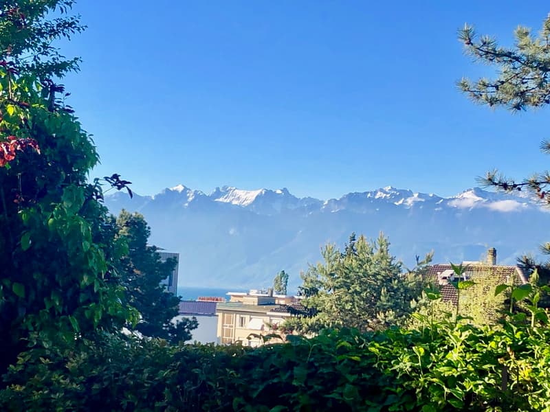 Appartamento di due locali con balcone (9)