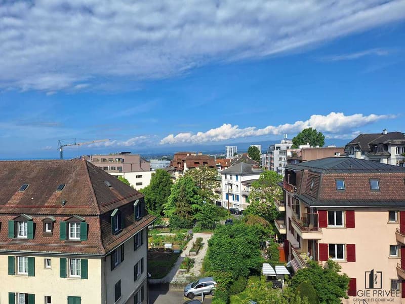 Studio möbliert & ausgestattet in Lausanne (9)