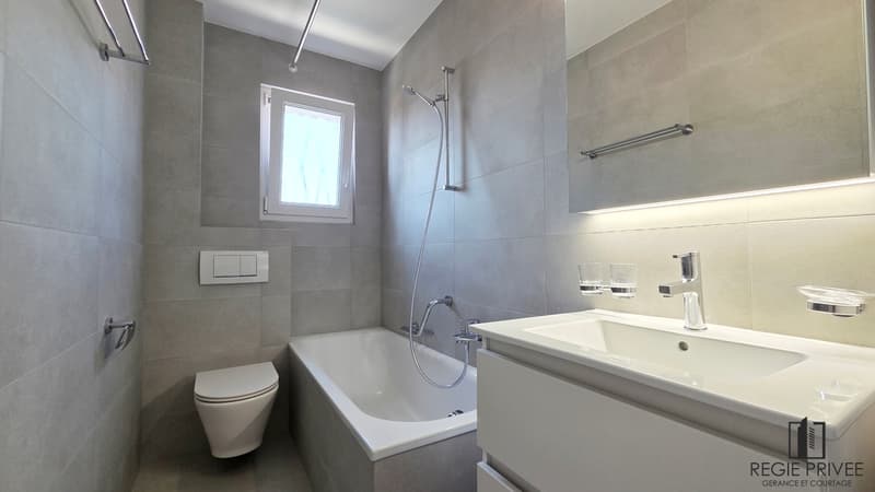 Appartamento con seminterrato privato e immenso giardino (8)