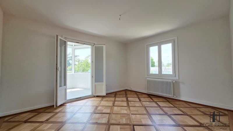 Appartamento con seminterrato privato e immenso giardino (3)