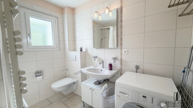2.5-room apartment, furnished with lake view (9)