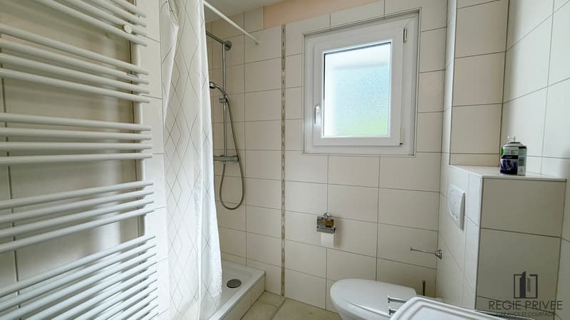 2.5-room apartment, furnished with lake view (10)
